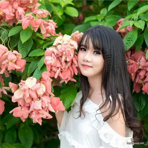 Trích Đoạn Cải Lương Máu Nhuộm Sân Chùa Hay Nhất Phần 1